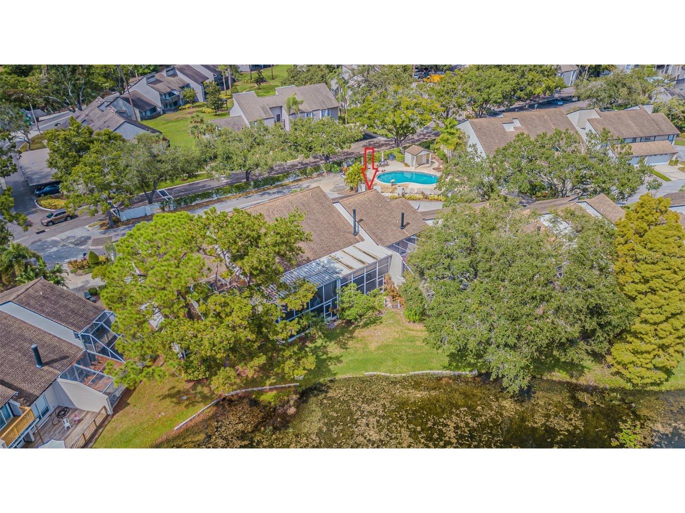 4228 Arborwood Lane Tampa FL 33618 TB8436879 image31