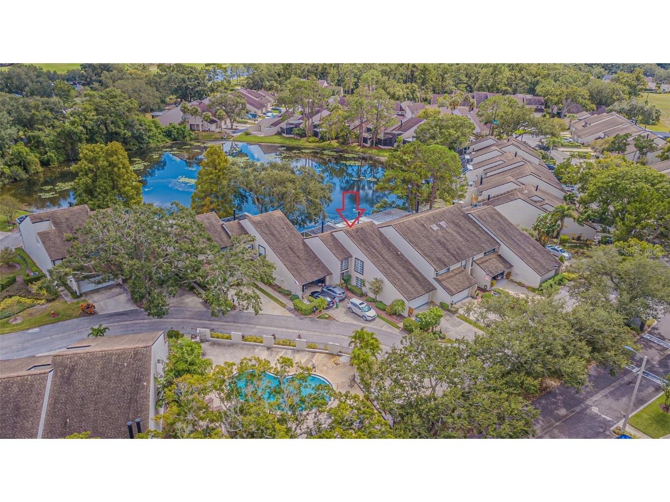 4228 Arborwood Lane Tampa FL 33618 TB8436879 image32