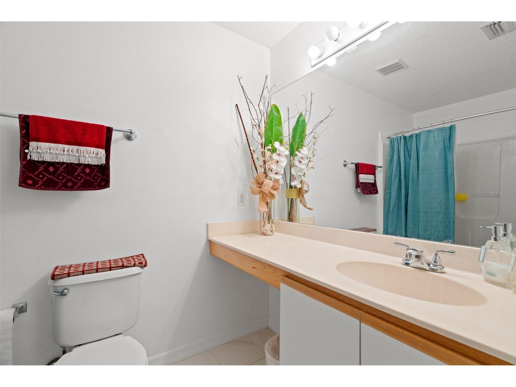 4228 Augustine Road Spring Hill FL 34609 OM711118 image26