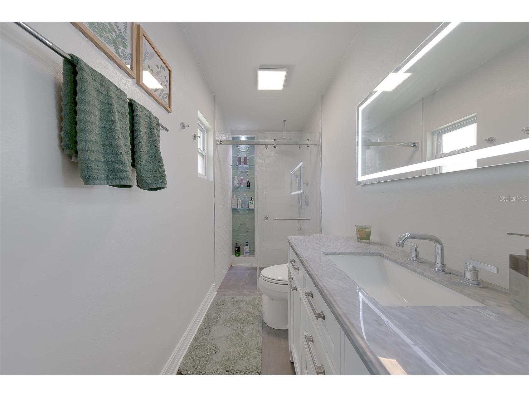 4228 Briarberry Lane Tampa FL 33624 TB8523657 image20