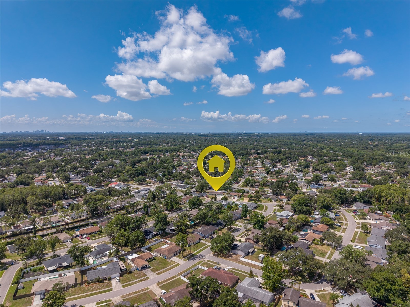 4228 Briarberry Lane Tampa FL 33624 TB8523657 image49