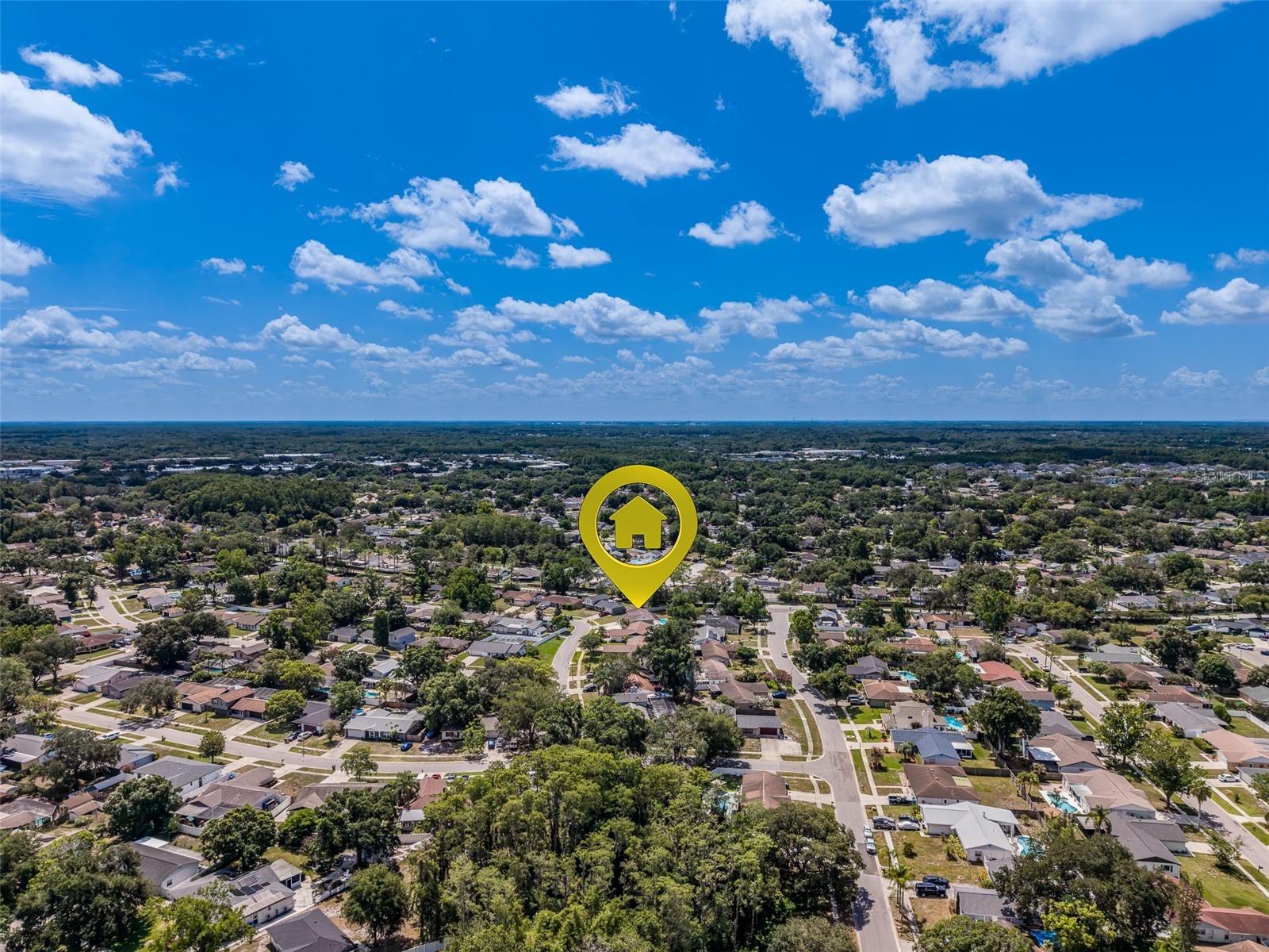 4228 Briarberry Lane Tampa FL 33624 TB8523657 image50
