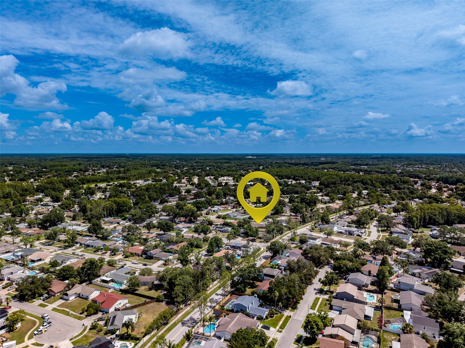 4228 Briarberry Lane Tampa FL 33624 TB8523657 image51