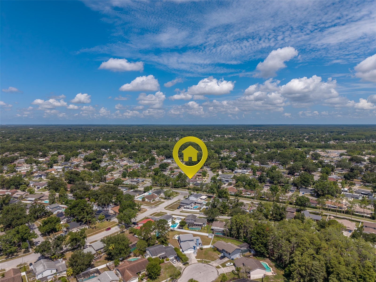 4228 Briarberry Lane Tampa FL 33624 TB8523657 image52