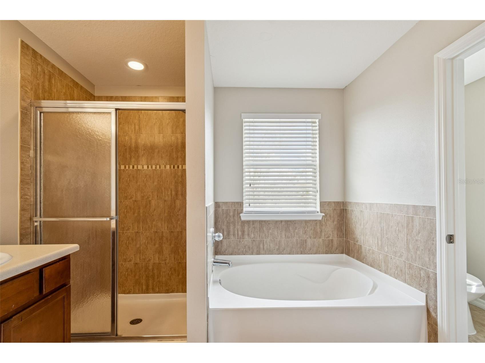 4228 Granite Glen Loop Wesley Chapel FL 33544 O6388238 image33