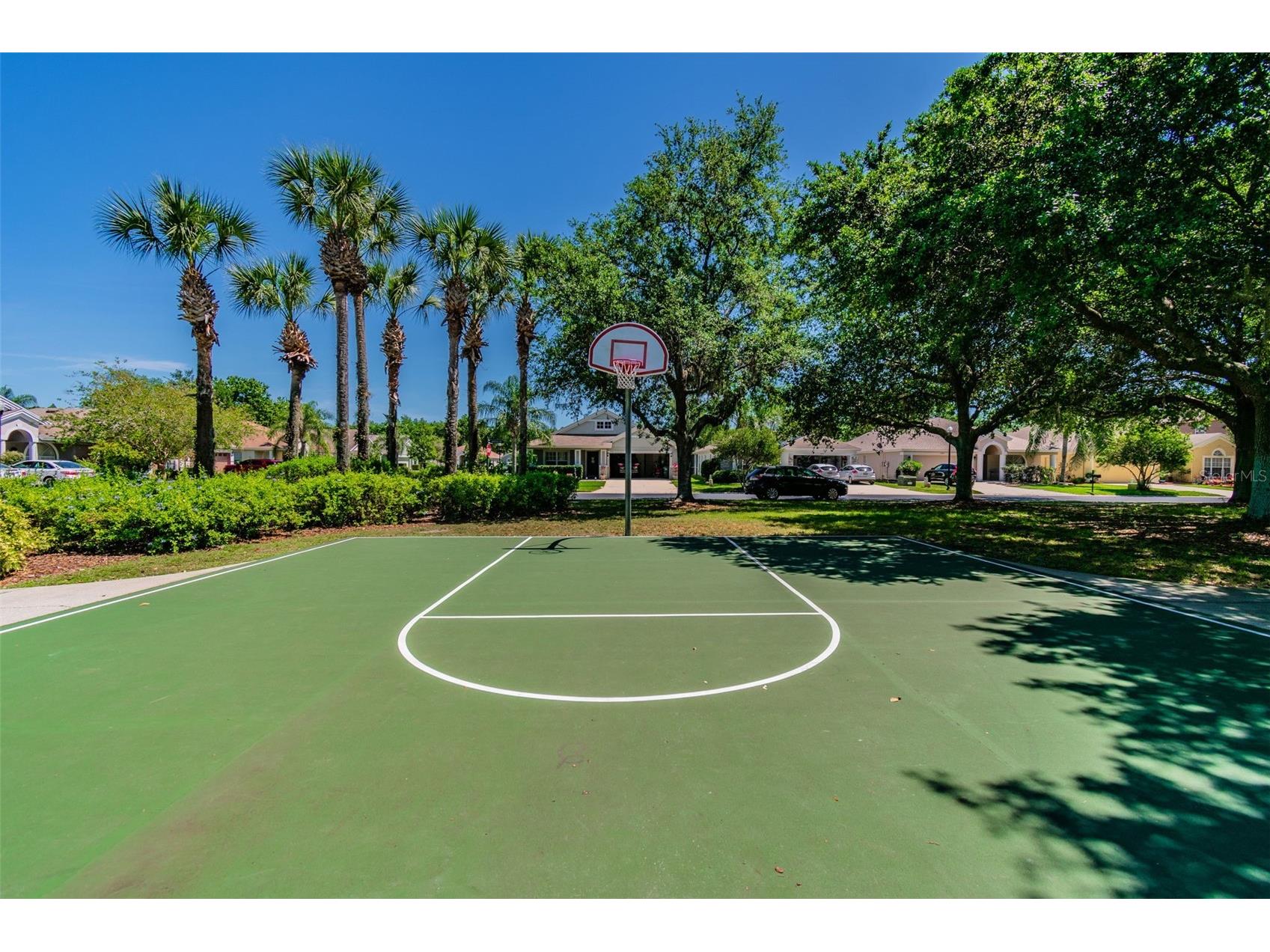 4228 Granite Glen Loop Wesley Chapel FL 33544 O6388238 image77