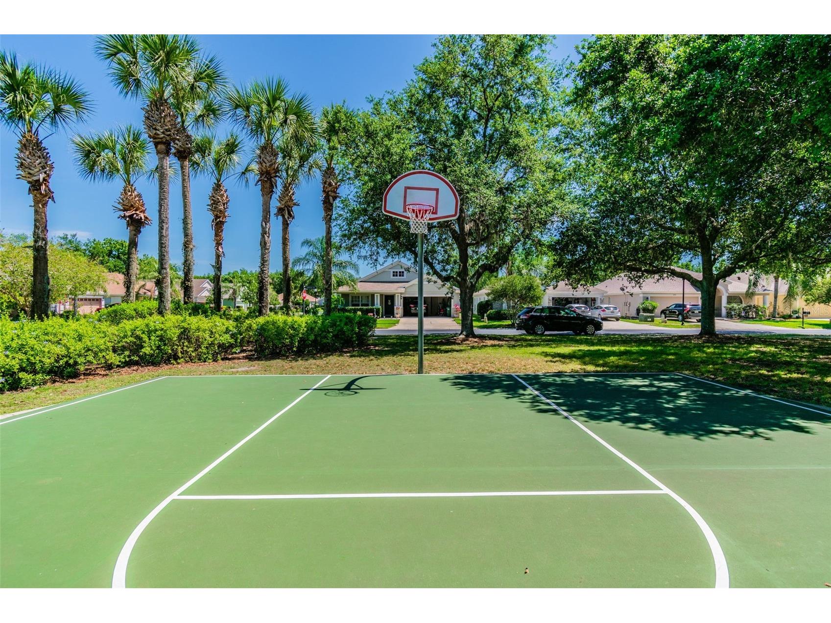 4228 Granite Glen Loop Wesley Chapel FL 33544 O6388238 image78