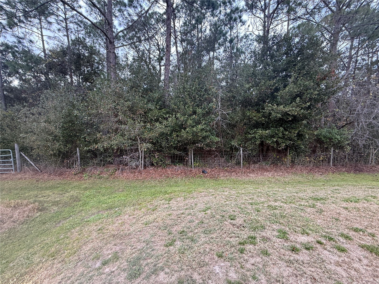 4228 Portage Drive Polk City FL 33868 B4902145 image30