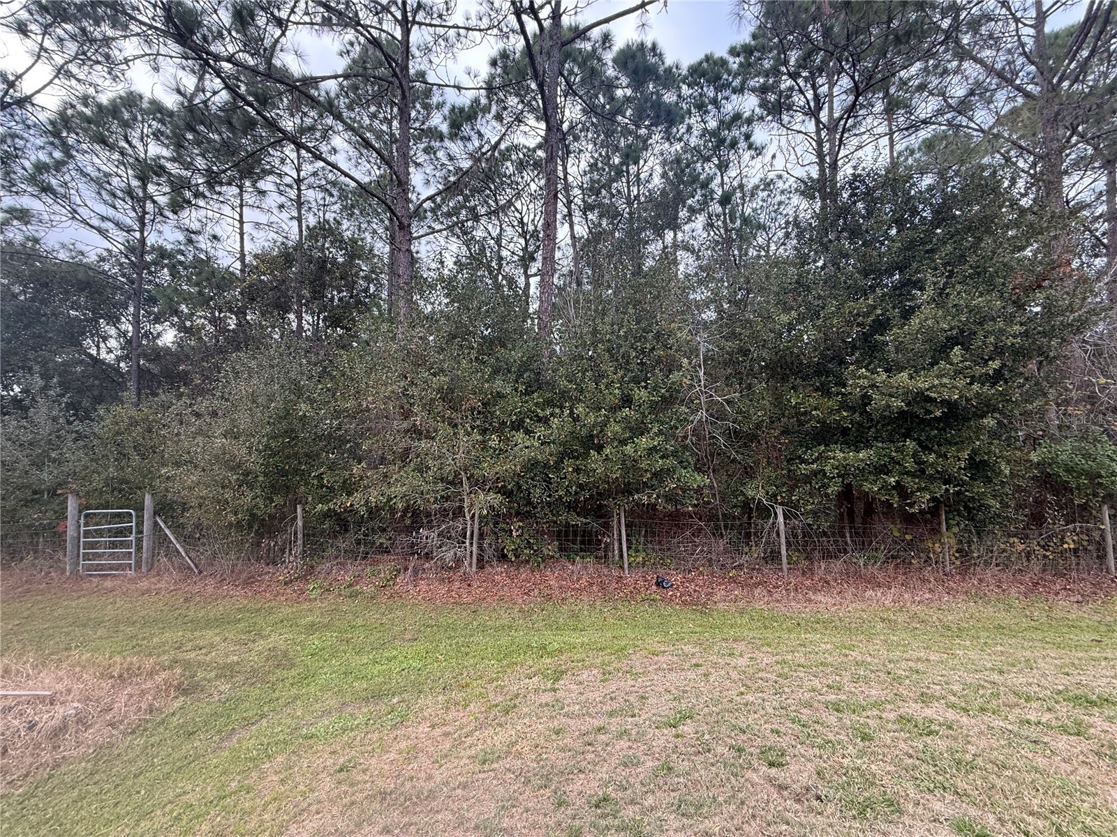 4228 Portage Drive Polk City FL 33868 B4902145 image31