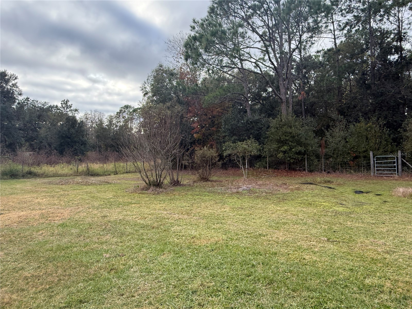 4228 Portage Drive Polk City FL 33868 B4902145 image32