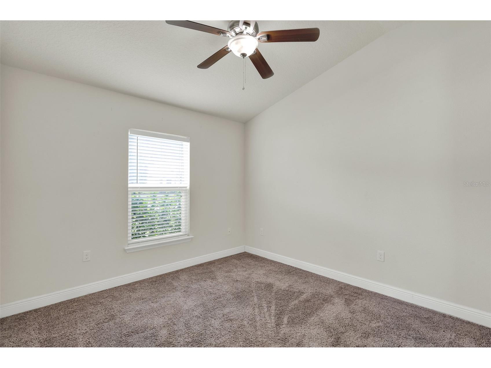 4229 Barnsley Lane Tavares FL 32778 G5100743 image11