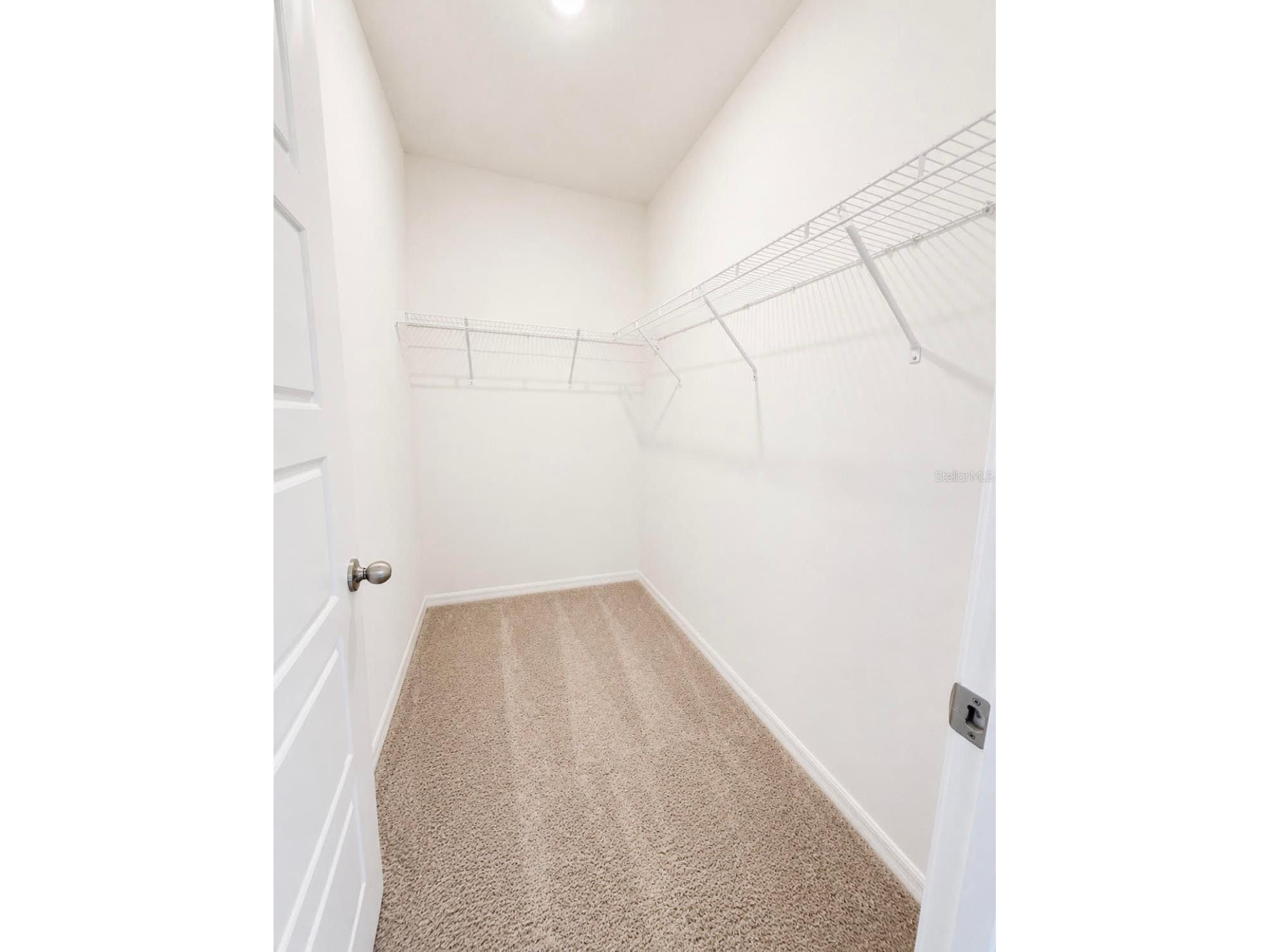4229 Evernia Rd Tavares FL 32778 G5113552 image9