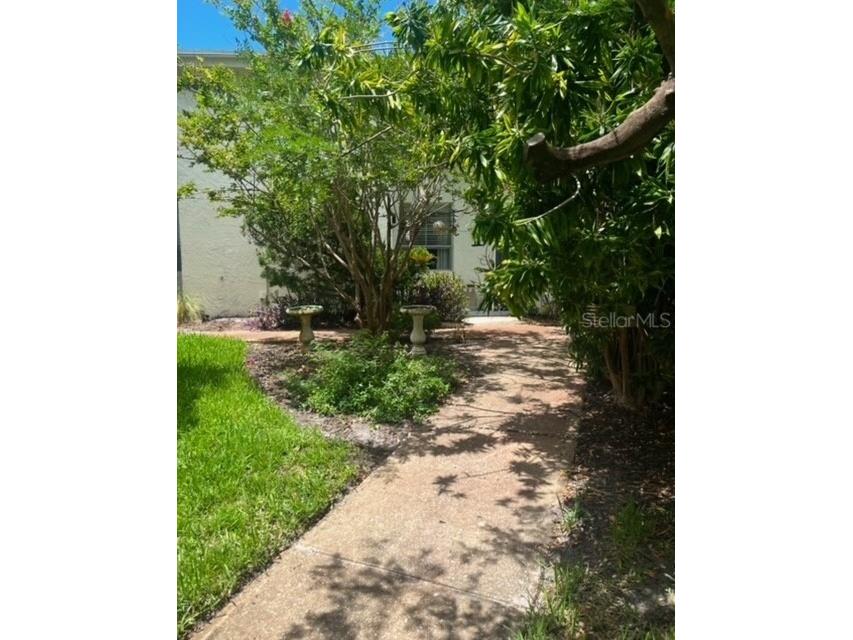 4229 La Sorrento Court Tampa FL 33611 TB8334160 image1