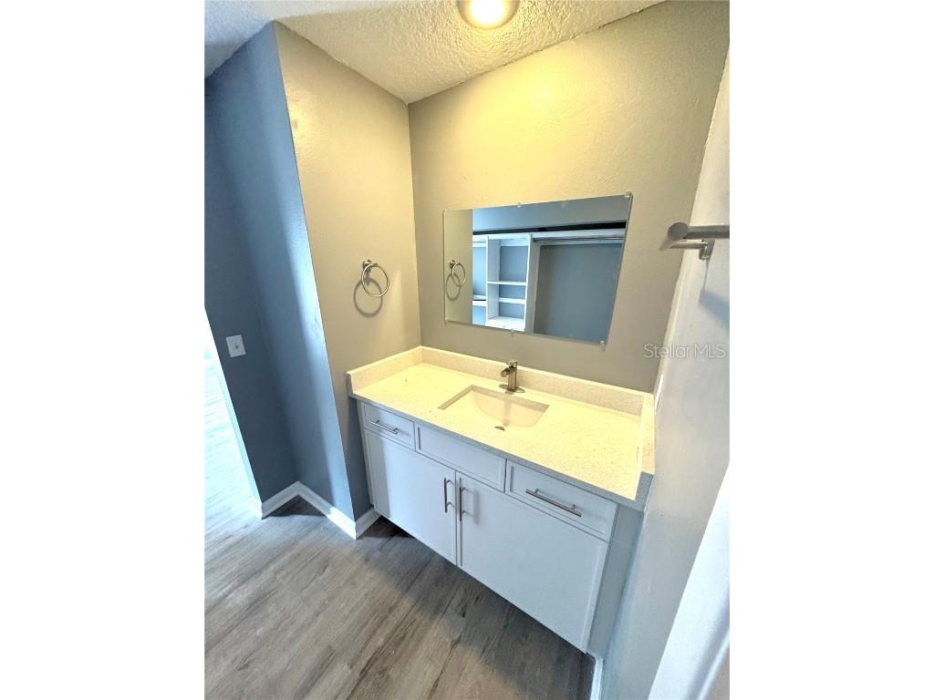 4229 S Lake Orlando Parkway #133 Orlando FL 32808 O6254397 image31