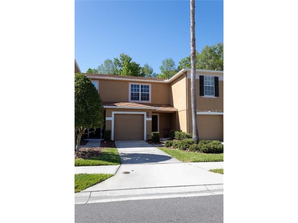 4229 Winding River Way Land O Lakes FL 34639 T3363529 image1