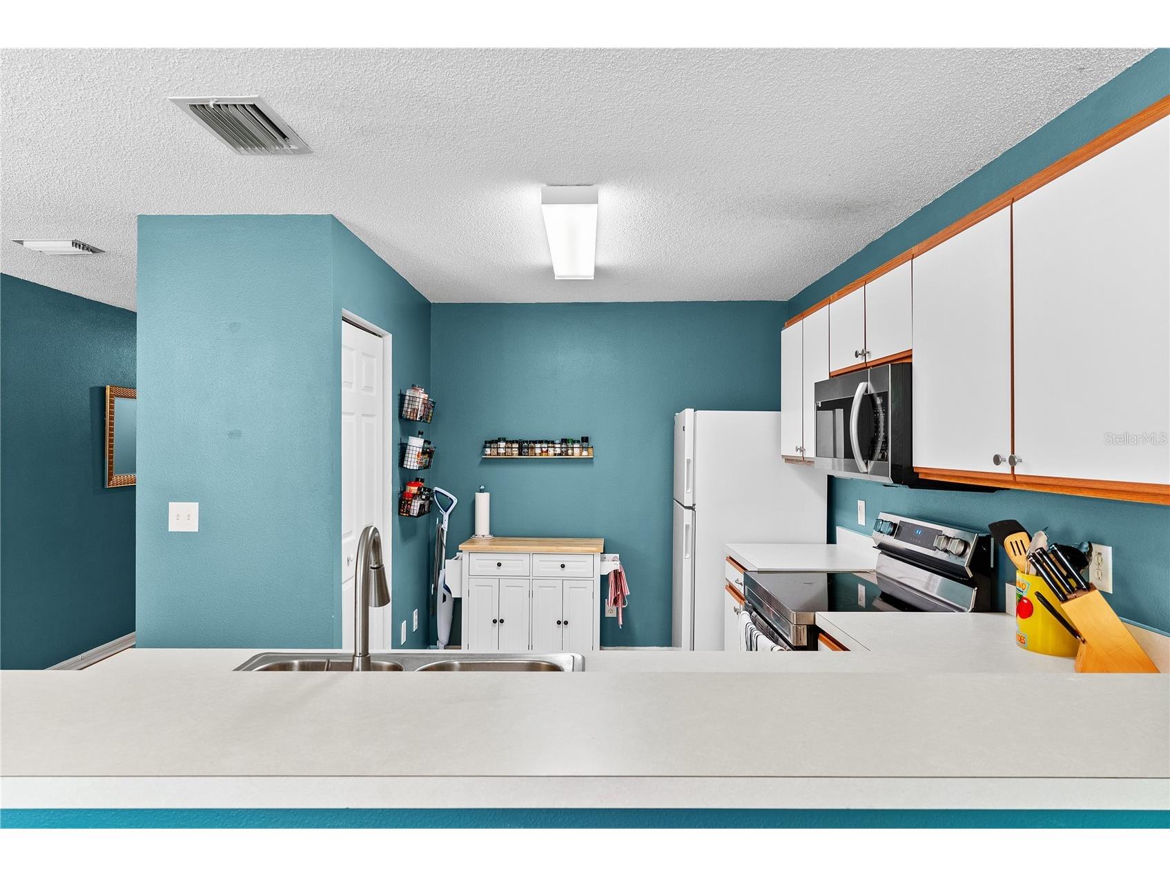 4229 Winding River Way Land O Lakes FL 34639 TB8510546 image11