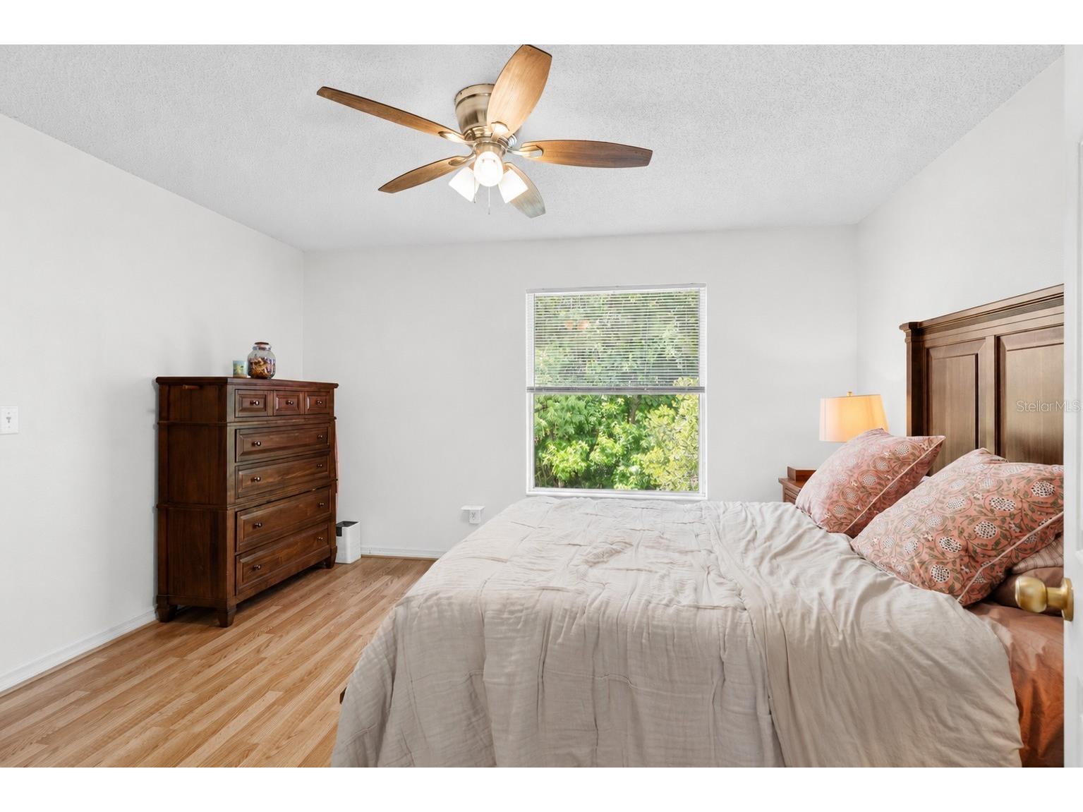 4229 Winding River Way Land O Lakes FL 34639 TB8510546 image29