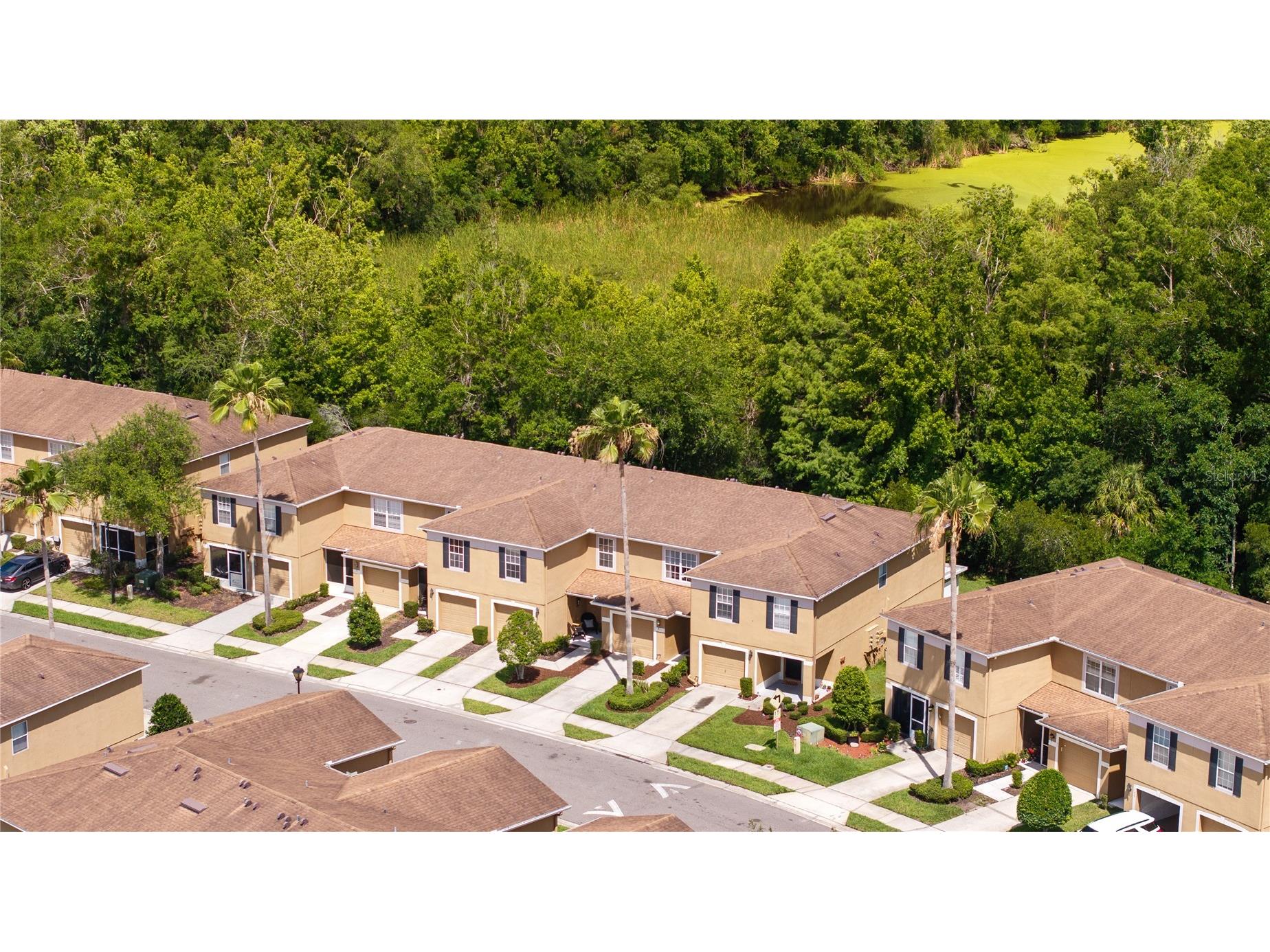4229 Winding River Way Land O Lakes FL 34639 TB8510546 image38