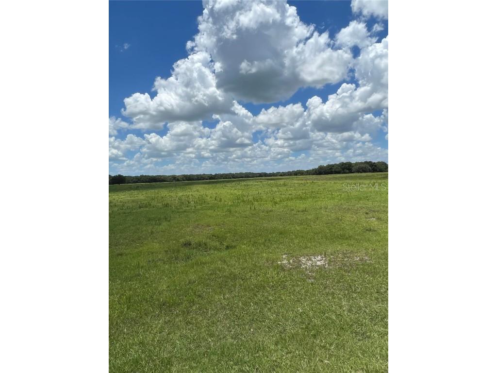42291 State Rd 70 E Myakka City FL 34251 A4541247 image1