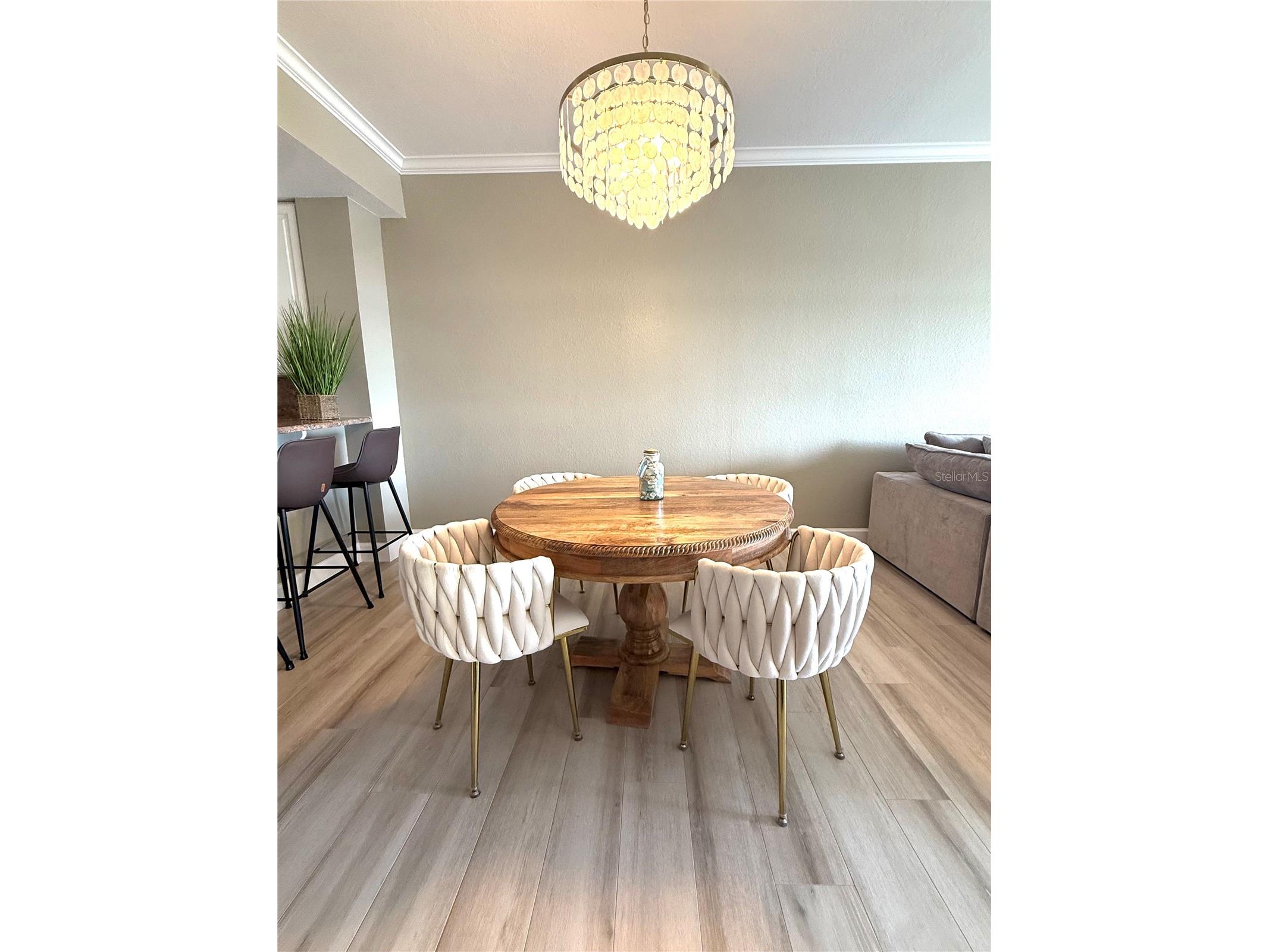 423 150th Avenue #1405 Madeira Beach FL 33708 TB8484689 image11