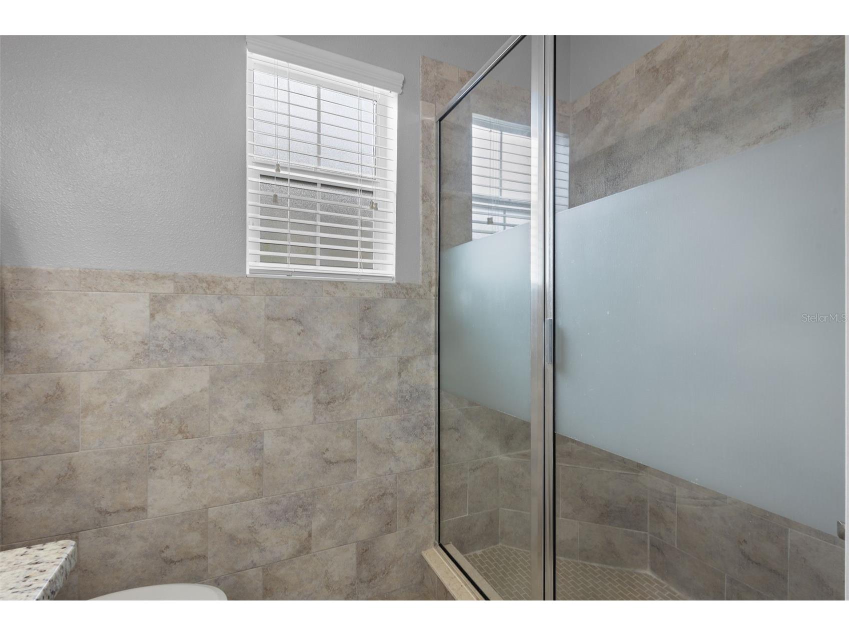 423 Aurora Way Oldsmar FL 34677 TB8516678 image27