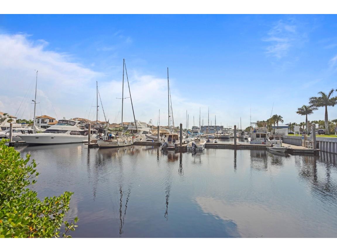 423 Bahia Beach Boulevard Ruskin FL 33570 A4675079 image13