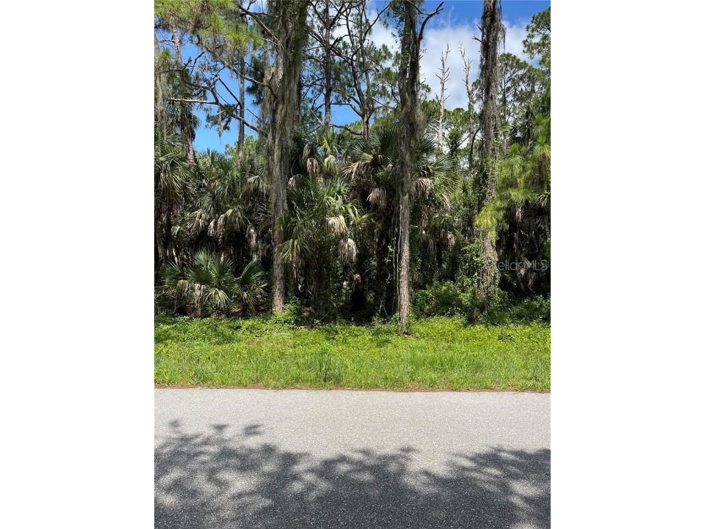 423 Camrose Street Port Charlotte FL 33954 C7470435 image1