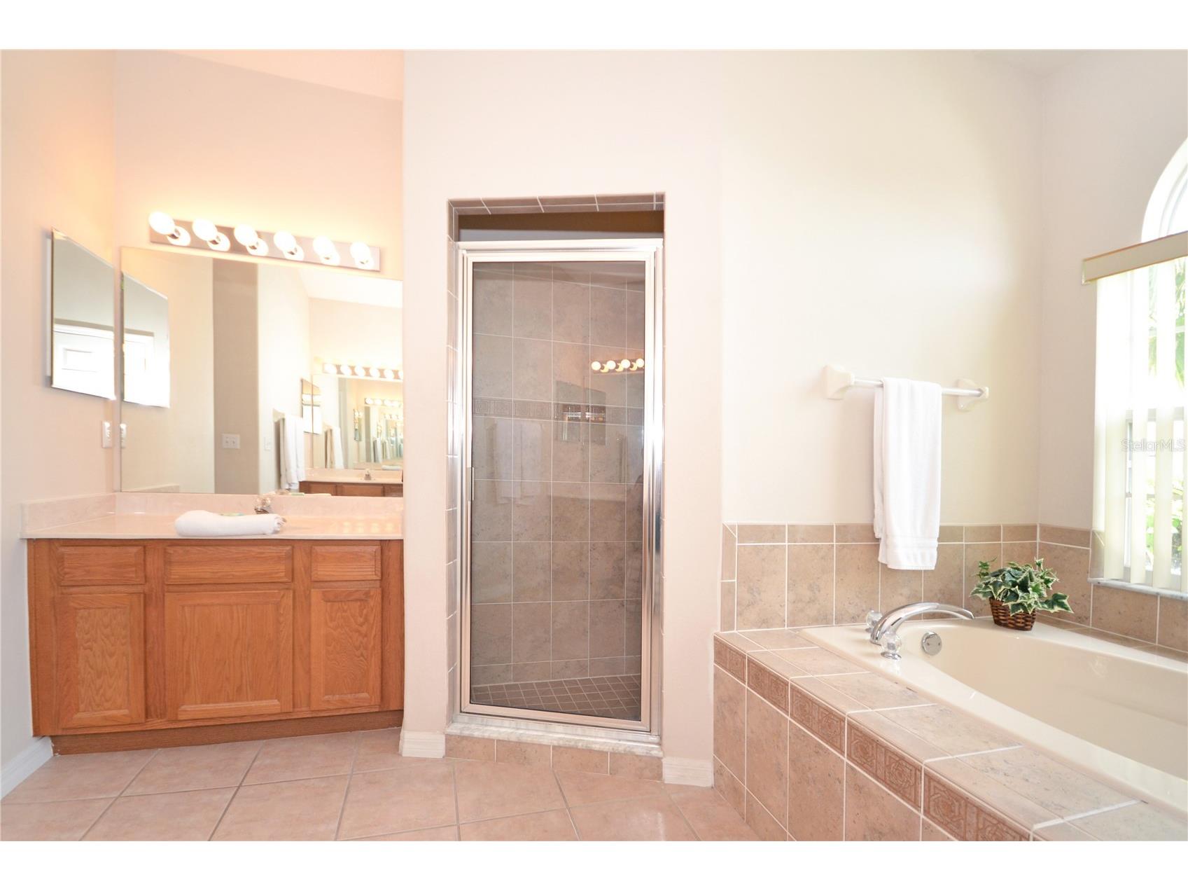 423 Corvina Drive Davenport FL 33897 S5146455 image12