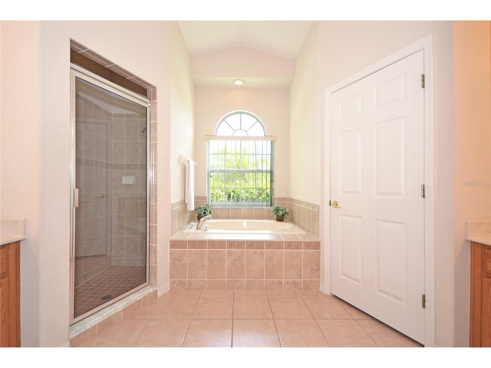 423 Corvina Drive Davenport FL 33897 S5146455 image13