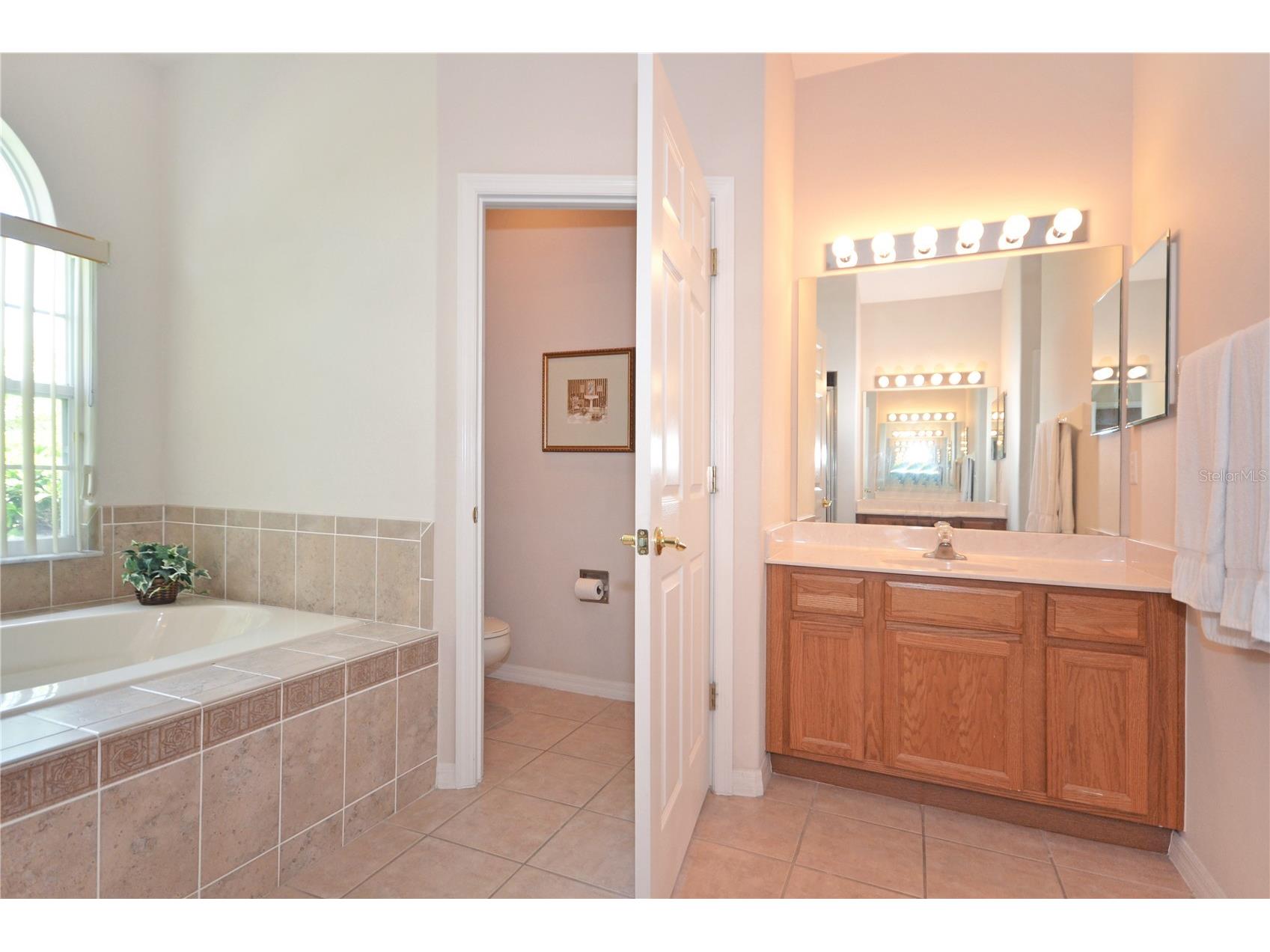 423 Corvina Drive Davenport FL 33897 S5146455 image14
