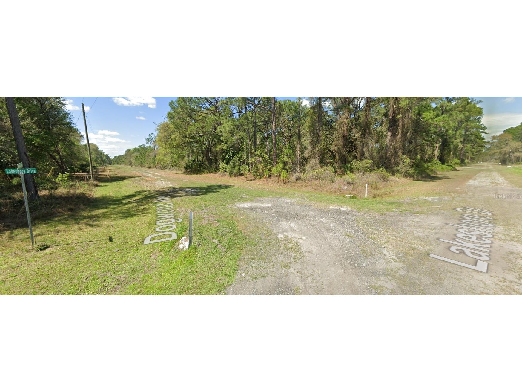 423 Dogwood Avenue Georgetown FL 32139 O6317398 image10