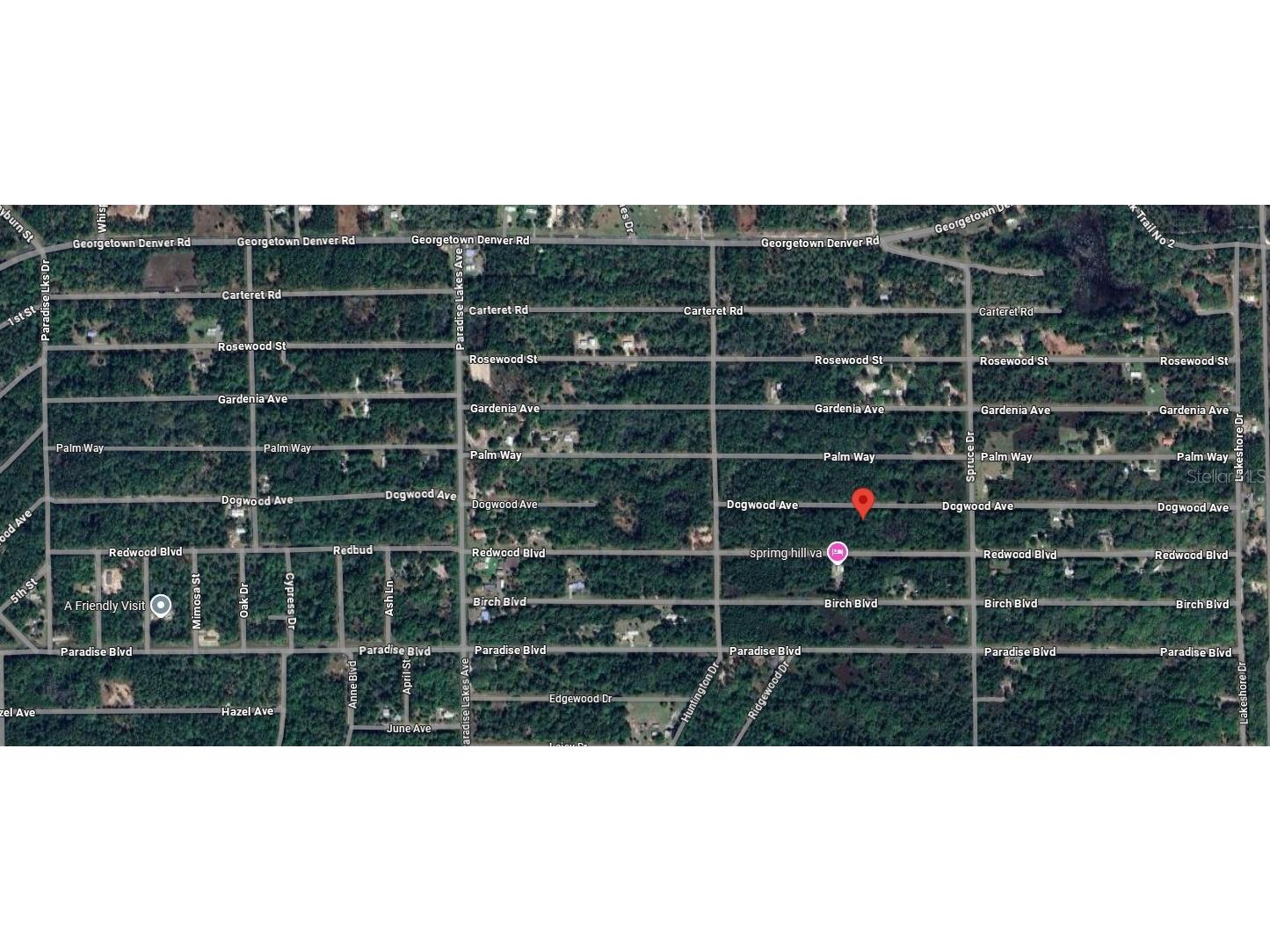423 Dogwood Avenue Georgetown FL 32139 O6317398 image11