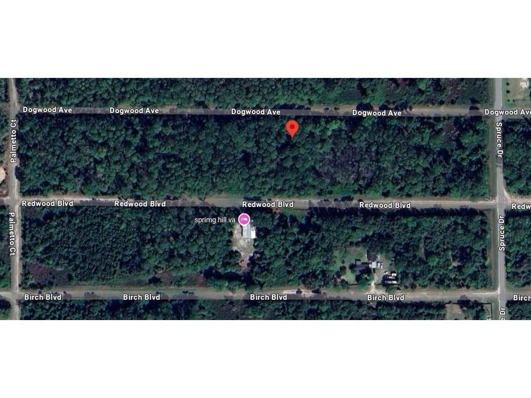 423 Dogwood Avenue Georgetown FL 32139 O6317398 image12