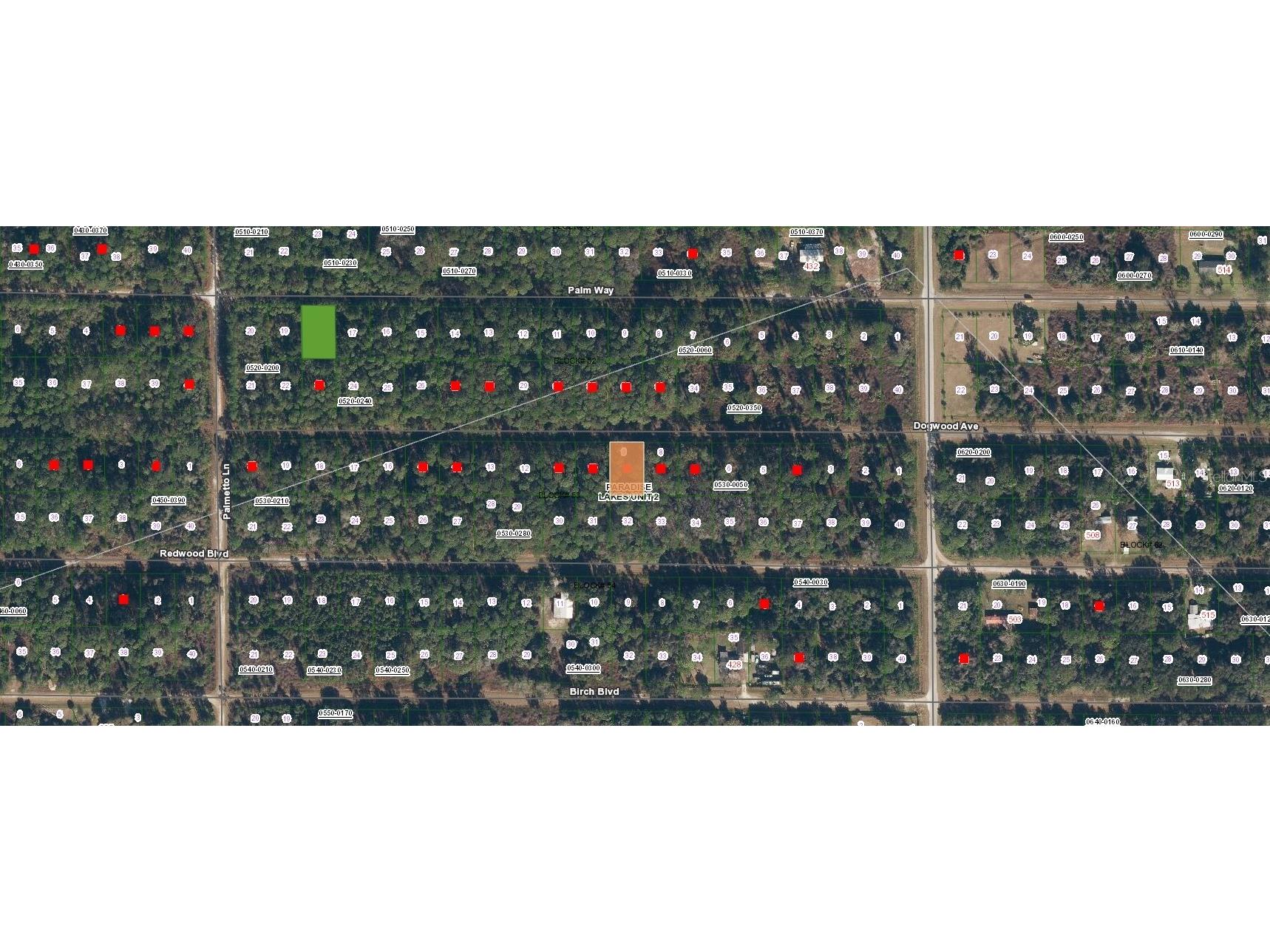 423 Dogwood Avenue Georgetown FL 32139 O6317398 image2