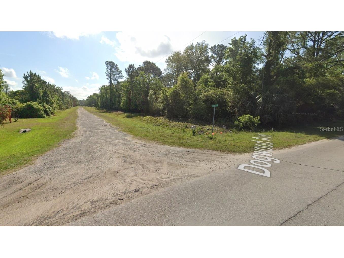 423 Dogwood Avenue Georgetown FL 32139 O6317398 image3