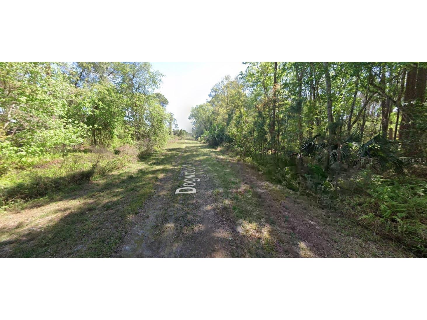 423 Dogwood Avenue Georgetown FL 32139 O6317398 image5