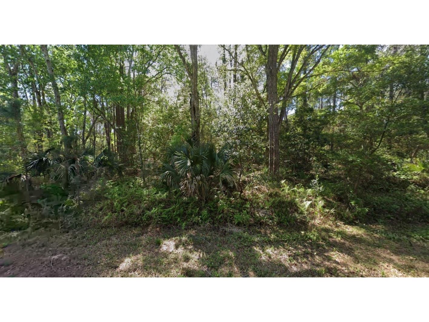 423 Dogwood Avenue Georgetown FL 32139 O6317398 image7