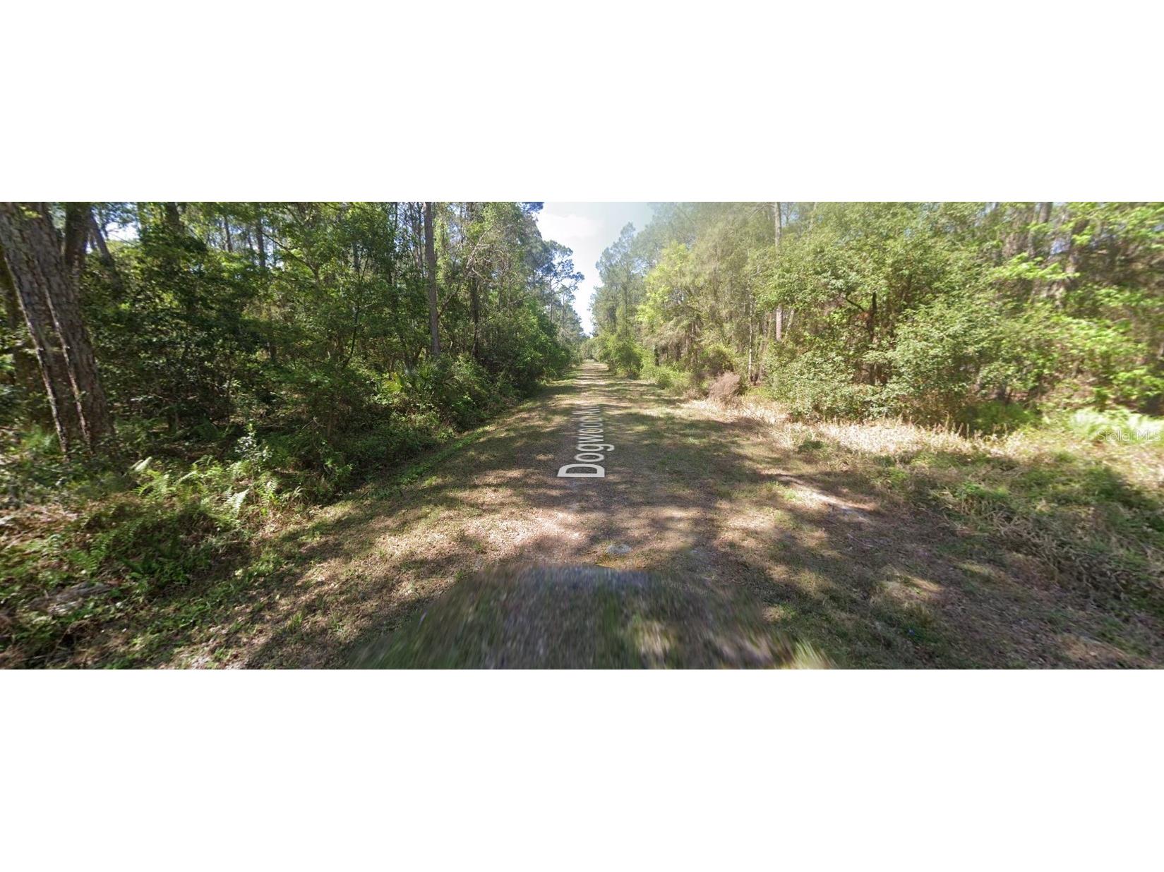 423 Dogwood Avenue Georgetown FL 32139 O6317398 image8