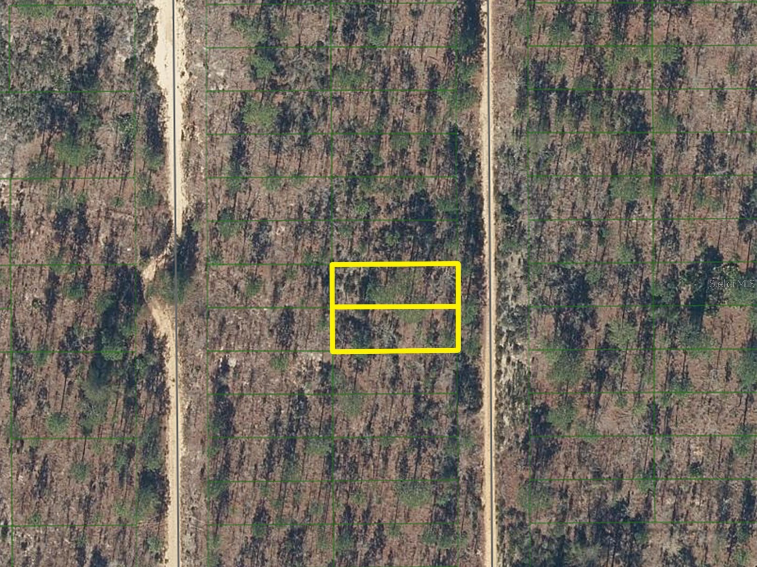 423 Dothan Street Interlachen FL 32148 O6396964 image1