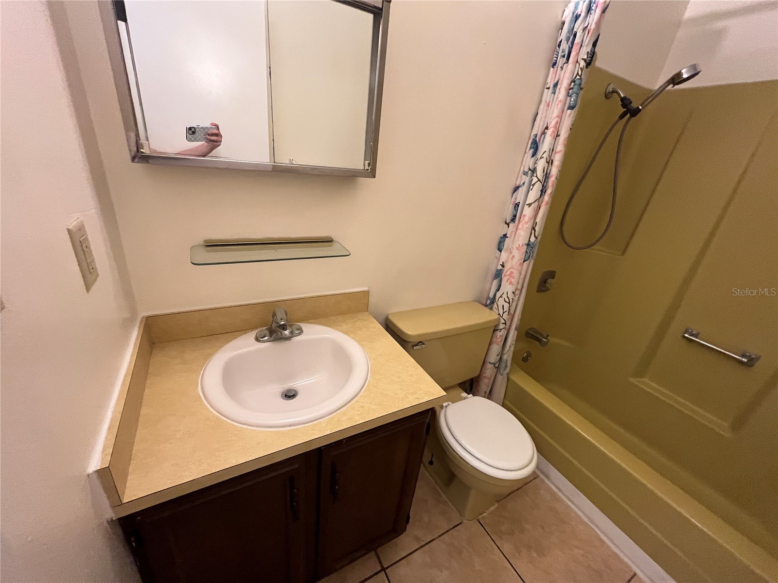 423 E Sessoms Avenue #3 Lake Wales FL 33853 P4939336 image15