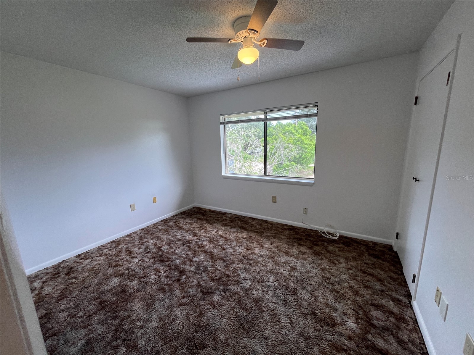 423 E Sessoms Avenue #3 Lake Wales FL 33853 P4939336 image18