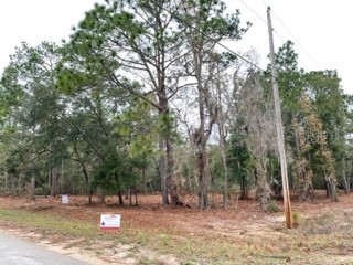 423 Quail Hollow Road Satsuma FL 32189 G5063256 image1