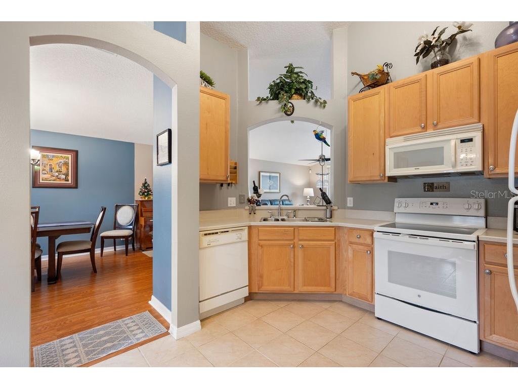 423 Sycamore Springs Street Debary FL 32713 O6409281 image9