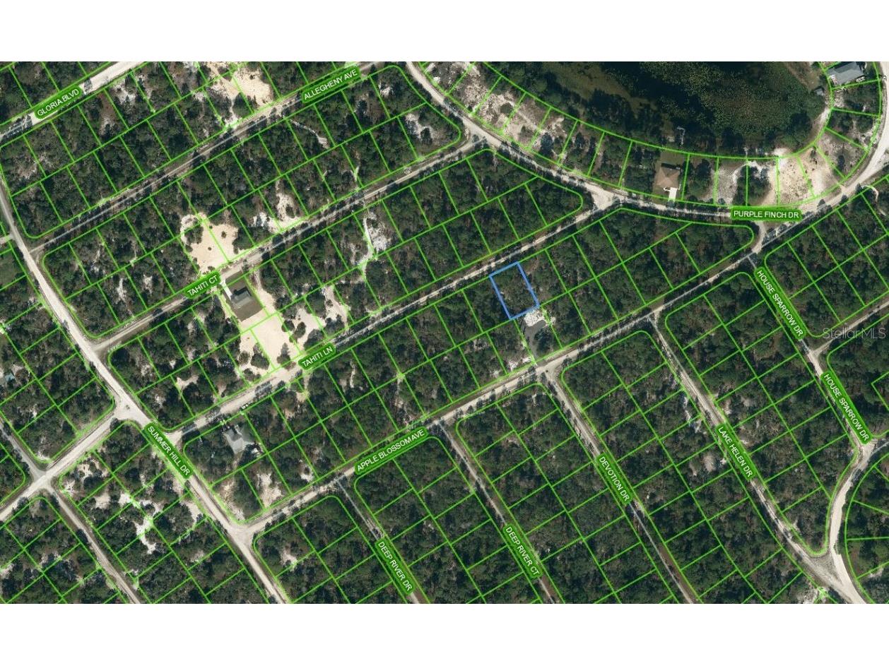 423 Tahiti Lane Lake Placid FL 33852 OM624335 image1