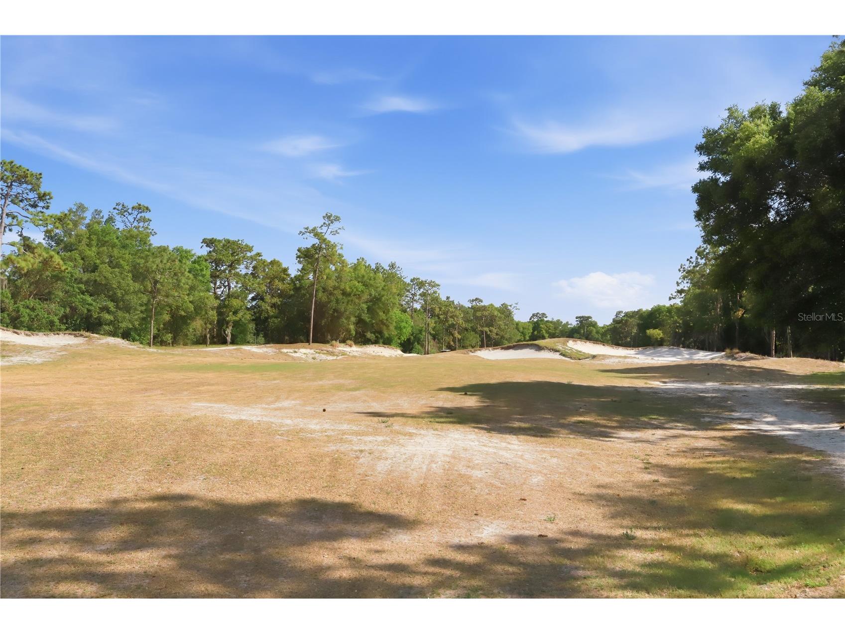 423 Victoria Hills Drive Deland FL 32724 V4948883 image50