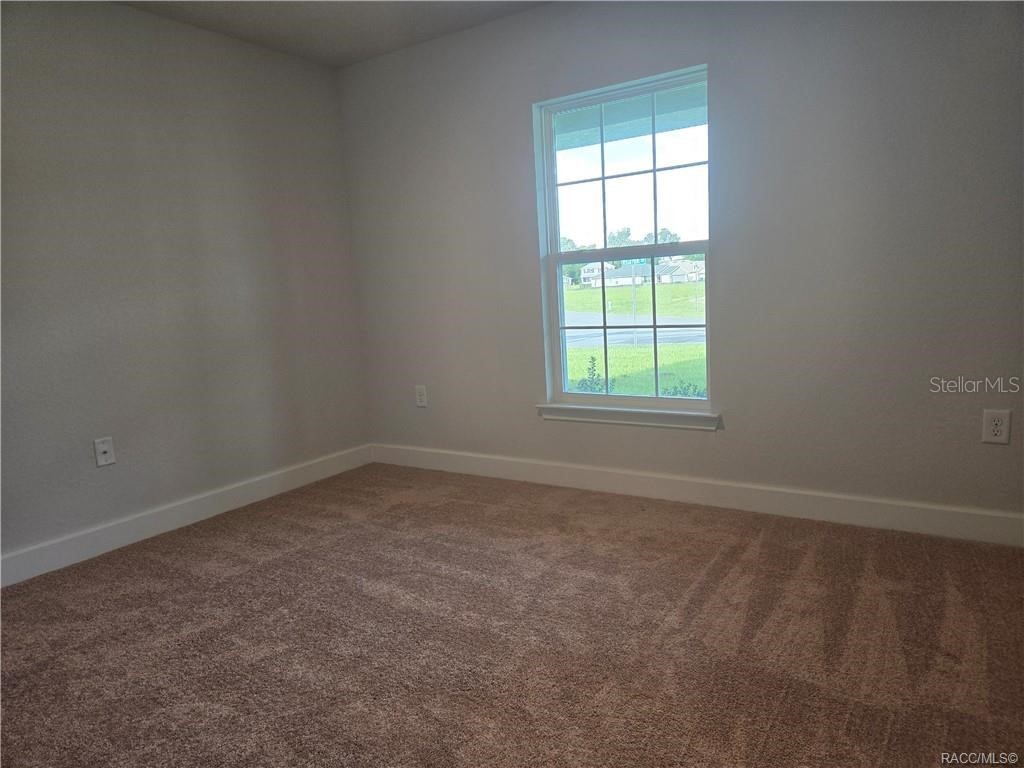 423 Wood Stork Trail Inverness FL 34453 OM714330 image8