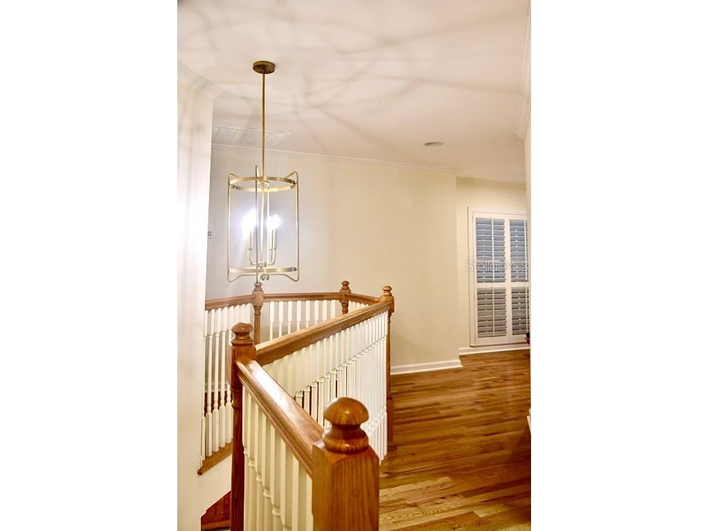 4230 Arborwood Lane Tampa FL 33618 TB8454094 image10