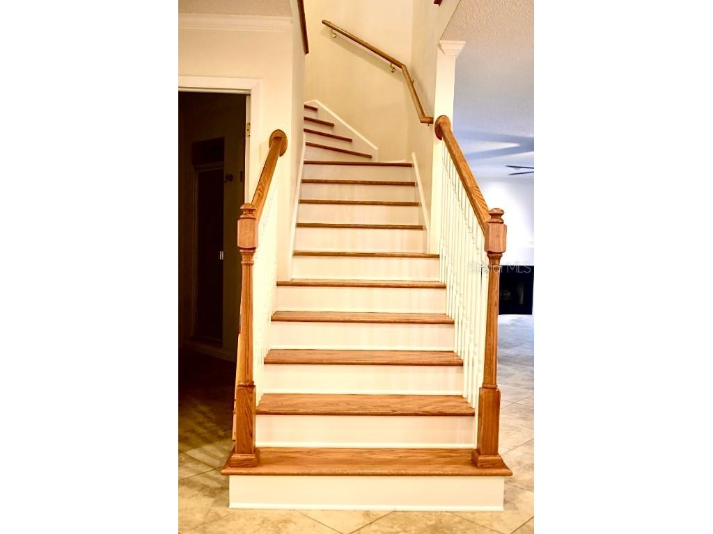 4230 Arborwood Lane Tampa FL 33618 TB8454094 image17