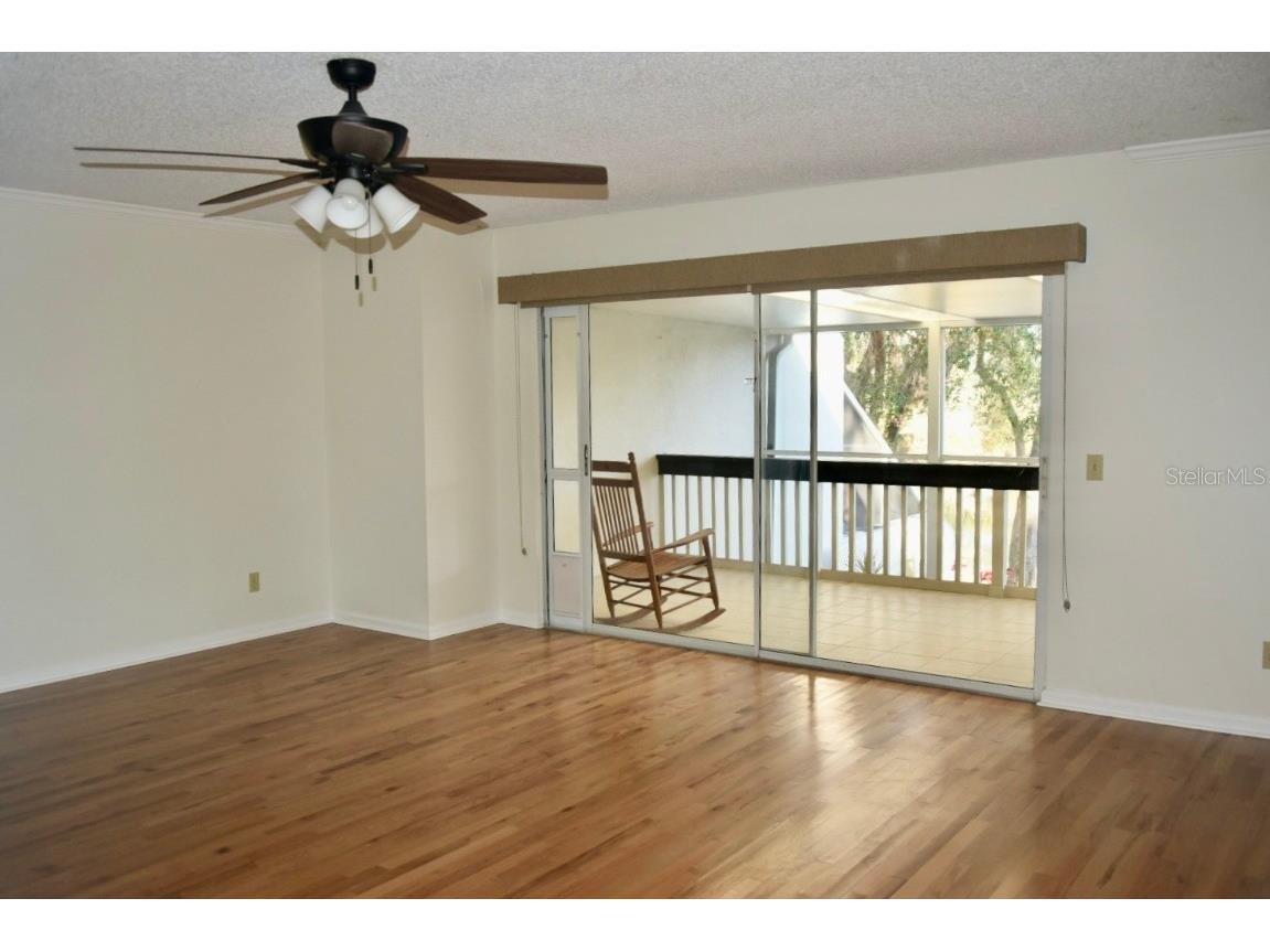 4230 Arborwood Lane Tampa FL 33618 TB8454094 image19