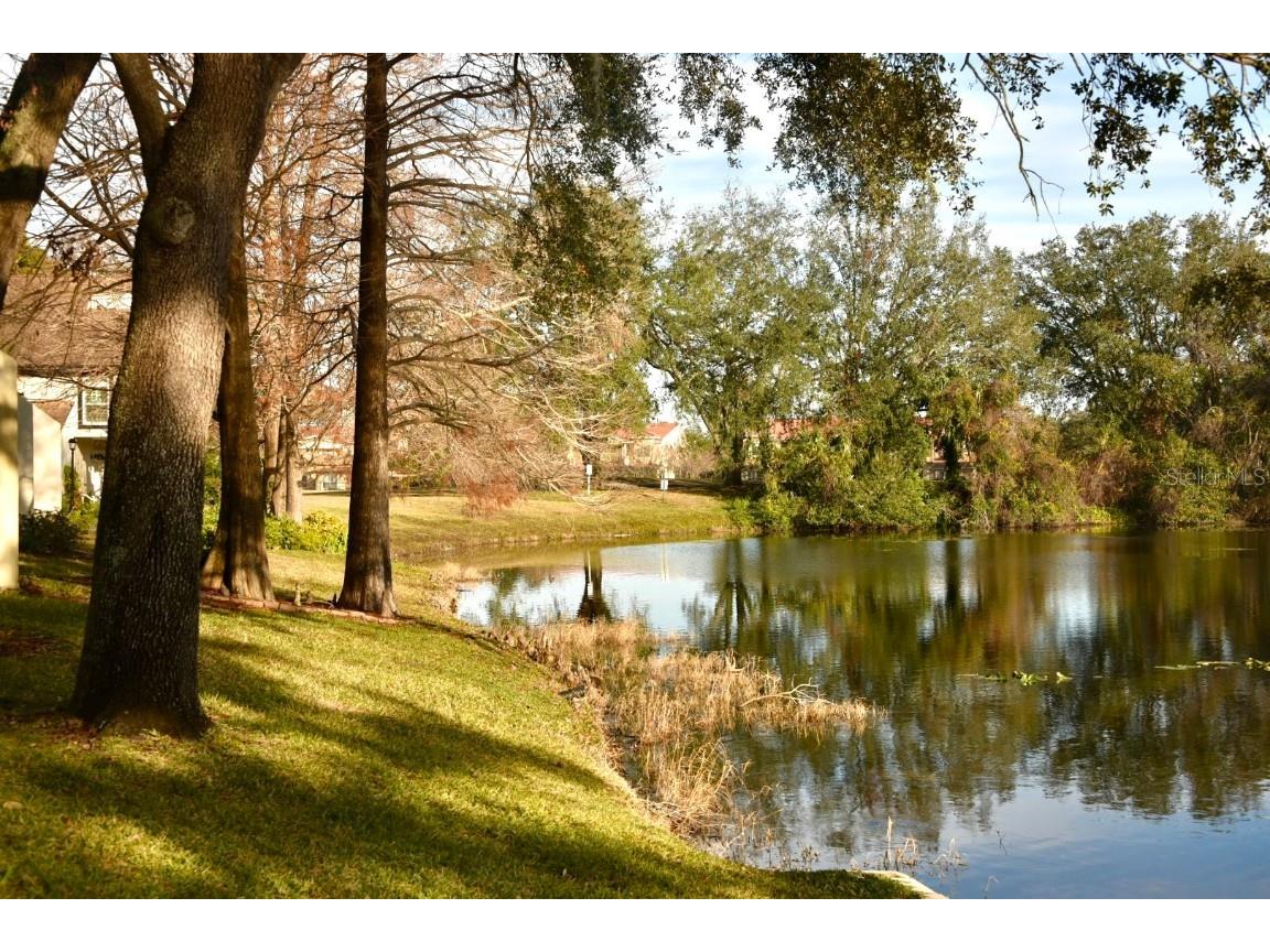 4230 Arborwood Lane Tampa FL 33618 TB8454094 image25